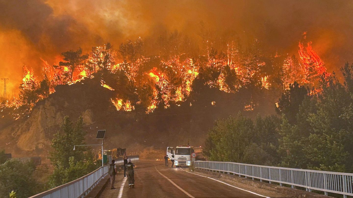 Notfälle: Waldbrände in der Türkei bedrohen Wohngegenden