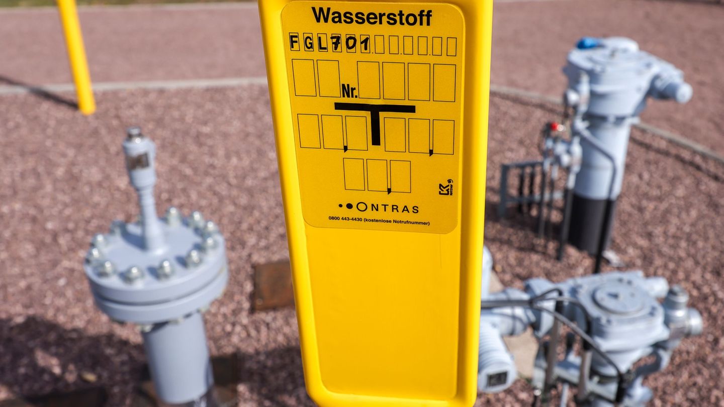 Wasserstoff: Wirtschaftsministerium: Wasserstoff-Ausbau verlangsamt sich